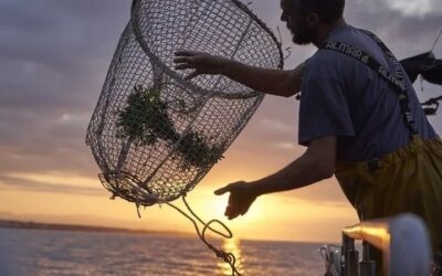 Los GALP europeos unen fuerzas para defender el futuro de la pesca y el Desarrollo Local Participativo después de 2027