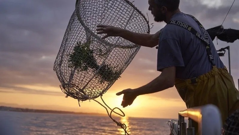 Los GALP europeos unen fuerzas para defender el futuro de la pesca y el Desarrollo Local Participativo después de 2027